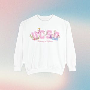 UCSD Crewneck Sweatshirt, Cute College Sweatshirt, Cute College Crewneck With Bow, University of California, UCSD Merch, Croquette