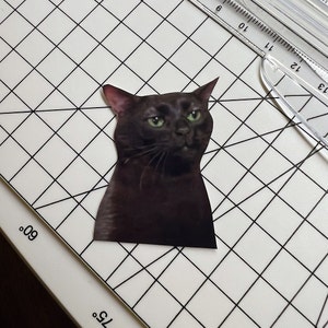 Zoning Out Black Cat Sticker No Border, Dissociating cat sticker, cat meme sticker, waterproof sticker, water bottle sticker.