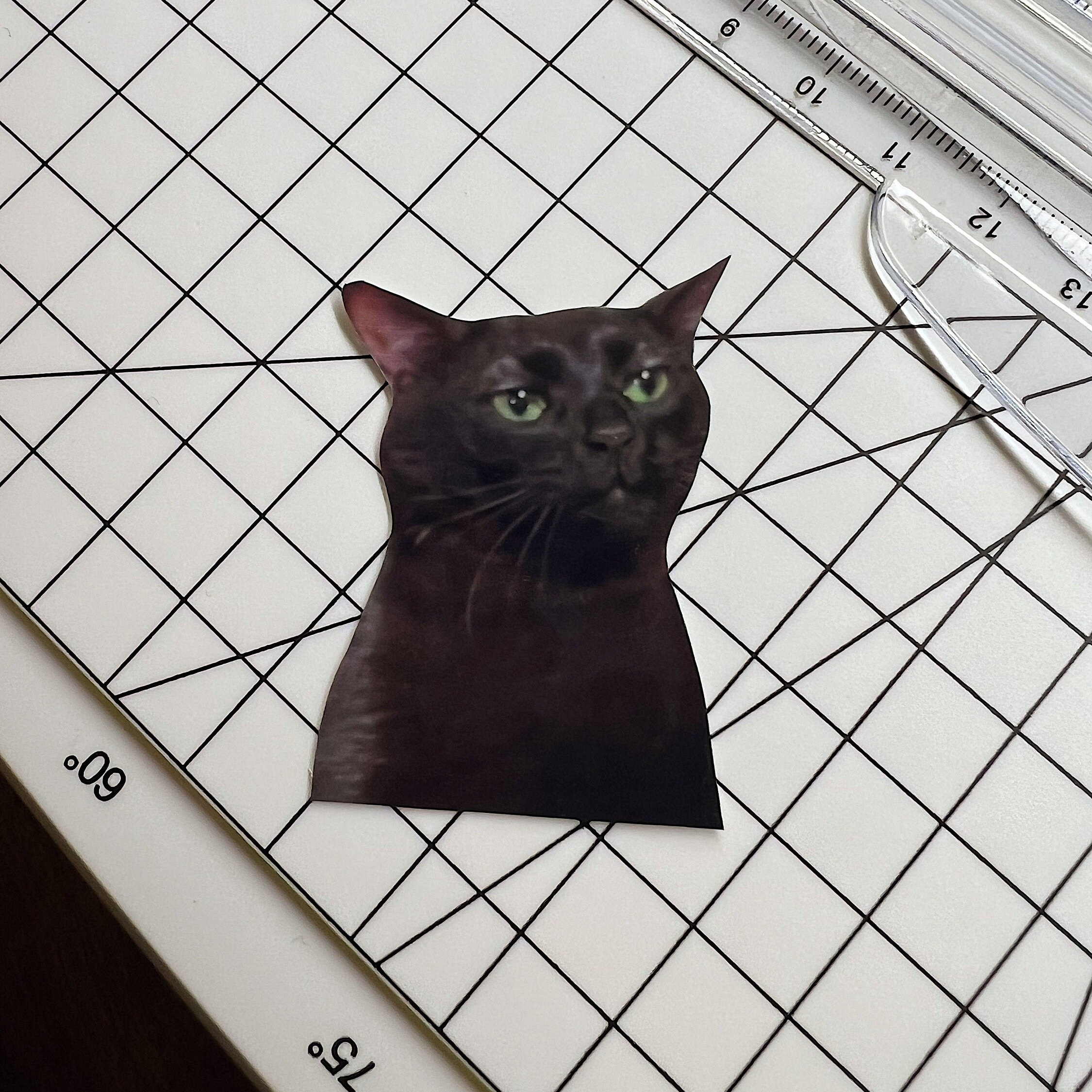 59 Classic Cat Memes to Curl Up With by the Fireplace While Warming Your  Frozen Feetsies - I Can Has Cheezburger?, image size:2250x2250