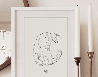 Nasello di gatto riccio - Stampa giclée personalizzata d'arte