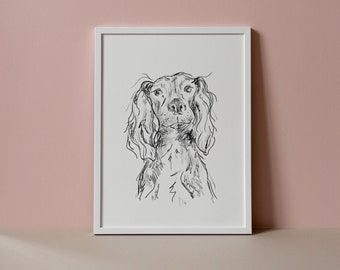 Spaniel seduto - Stampa Giclée cane personalizzato