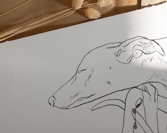 Sleep Snoot - Sighthound Fine Art Giclee Print - Whippet and Greyhound Sketch