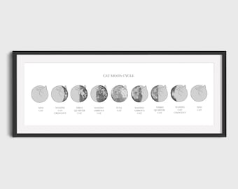 Katze Mondphasenzyklus - Panoramadruck