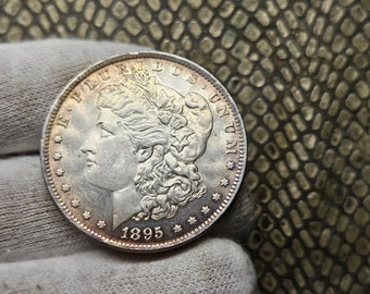 USA Dollar Morgan Coin 1895