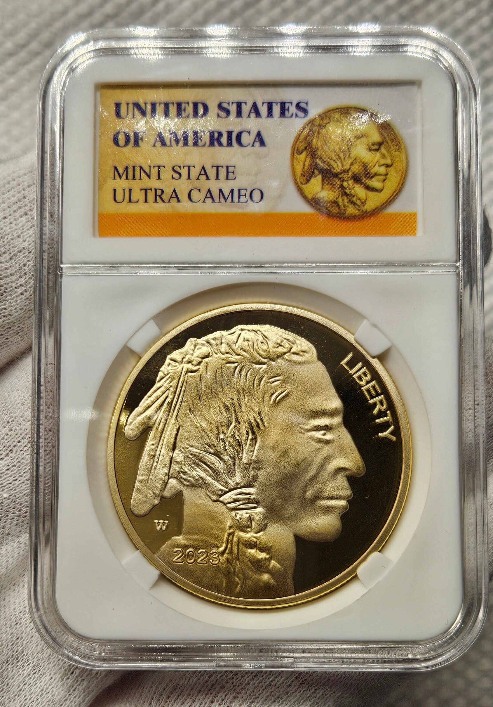 WALKING LIBERTY Gilded 1 Oz Moneda Plata 1$ USA 2024 - Foto 3