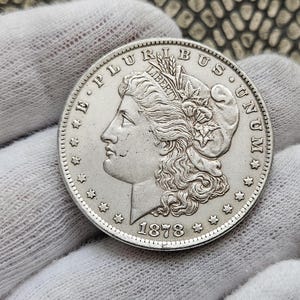 Us Dollar Morgan 1878 Morgan Dollar Gifted Coins Usa Coin Dollar Coin Gift Morgan Coin Morgan Dollar Coin Old Us Coin Morgan