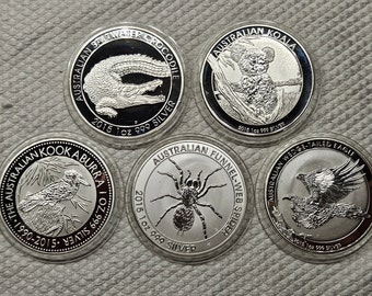 Sammlung von 5 Münzen australischer Tiere: Spinne, Känguru, Koala, Krokodil, Kookaburra, nicht magnetische Silbermünzen, 1-Unzen-Münzen von hoher Qualität