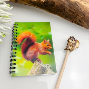 Könnte beinhalten: Ein spiralgebundenes Notizbuch mit einem lebendigen Bild eines roten Eichhörnchens auf einem Baumstumpf. Ein Bleistift mit Eichhörnchenaufsatz liegt neben dem Notizbuch. Der Hintergrund ist verschwommen grün und weiß.