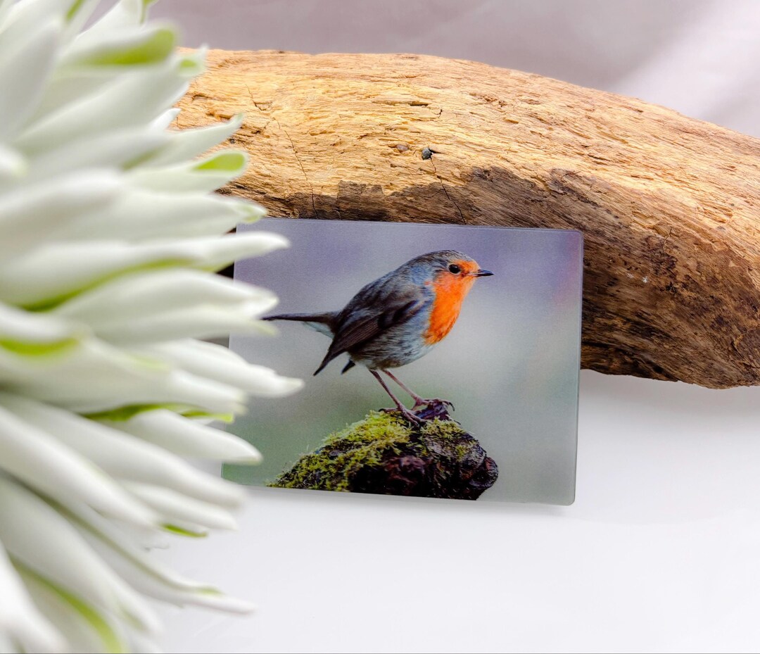 Robin Magnet Robin Refrigerator Magnet 3D Lenticular Image Magnet Wildlife Bird Wild ...