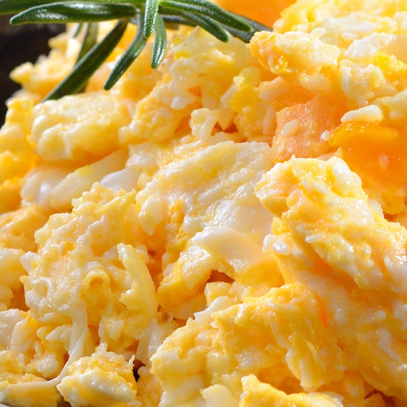 Freeze Dried Breakfast Buttery Scrambled Eggs Camping Hiking Etsy