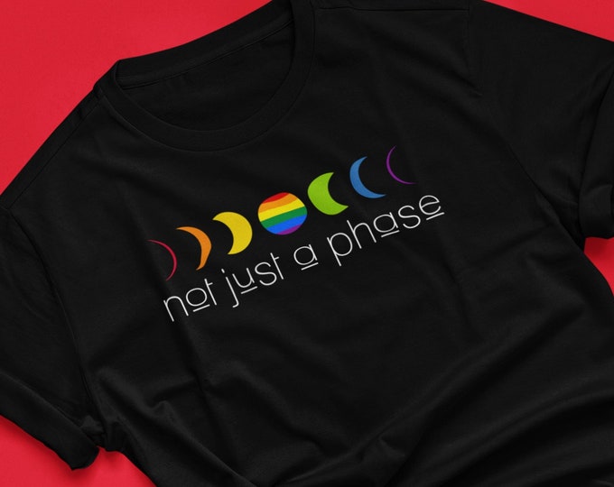 Not Just A Phase LGBTQ+ Shirt, Moon Phase, Pride T-Shirt, Rainbow Pride T, LGBTQ Flag Tee, Equal Rights Tee, Gay Pride Gift, Pride Month