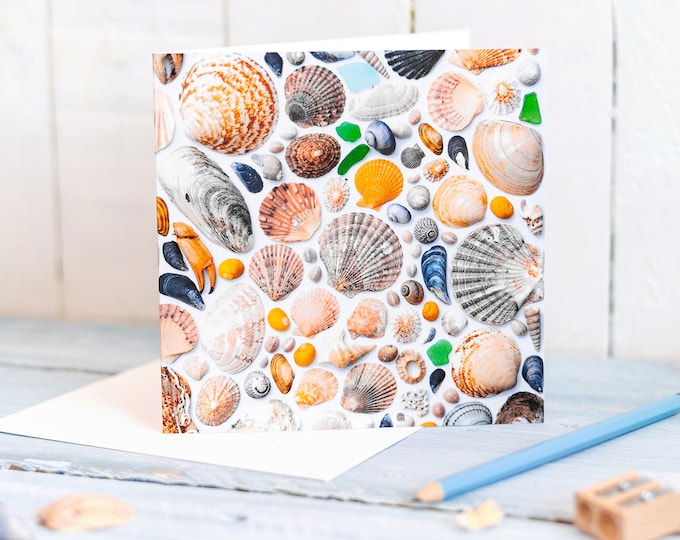 Shell Card Pack