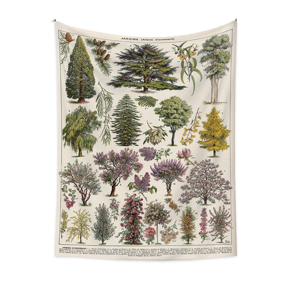 Vintage Tree Wall Tapestry Botanical Reference Chart Plant Wall Art Prints Nature Tapestry for Biology Classroom Science Nursery Home Etsy