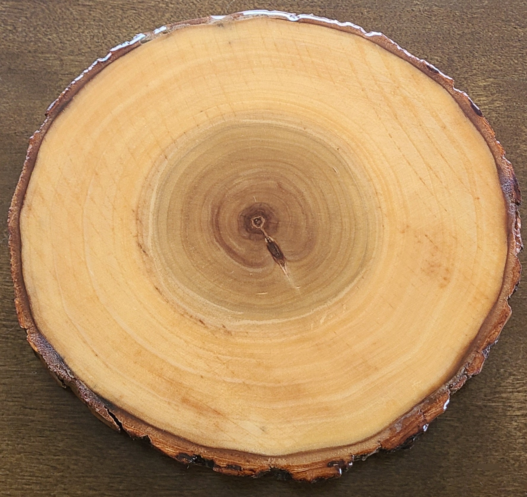 Set of 11-12 Inch Wood Slices for Rustic Wedding Centerpieces