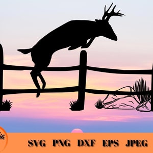 Mule Deer Buck Jumping Fence At Sunset Larger Acrylic Print, Mule Deer  Jumping