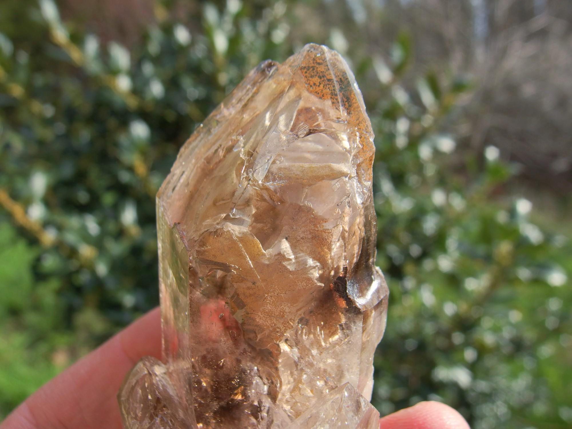 ブランドバーグスモーキークォーツクリスタル：エンハイドロスケルタル