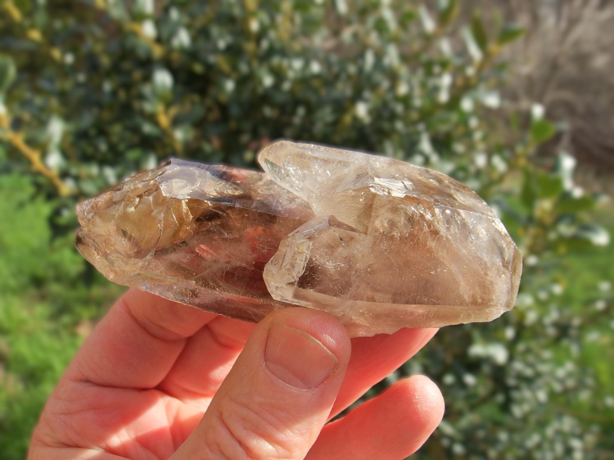 ブランドバーグスモーキークォーツクリスタル：エンハイドロスケルタル