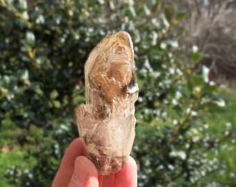 ブランドバーグスモーキークォーツクリスタル：エンハイドロスケルタル