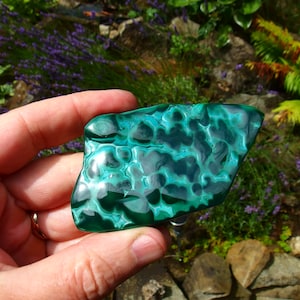 May include: A polished, irregularly shaped malachite stone, held in a hand. The stone displays a vibrant green color with swirling patterns of lighter green and white. The background features a garden setting with purple flowers and rocks.