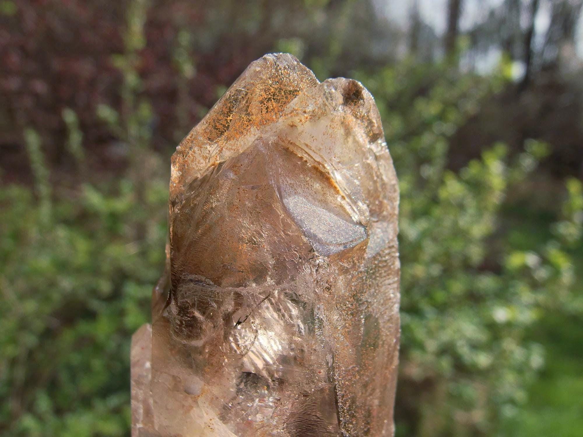 ブランドバーグスモーキークォーツクリスタル：エンハイドロスケルタル