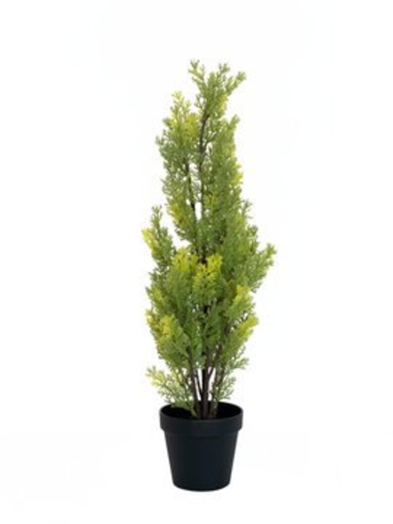 EUROPALMS Cypress Leyland Artificial Plant 60 Cm Etsy