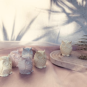 Può includere: Cinque statuine di gufo in ceramica bianca con diverse tonalità di colori pastello. I gufi sono disposti a semicerchio su una superficie rosa chiaro.