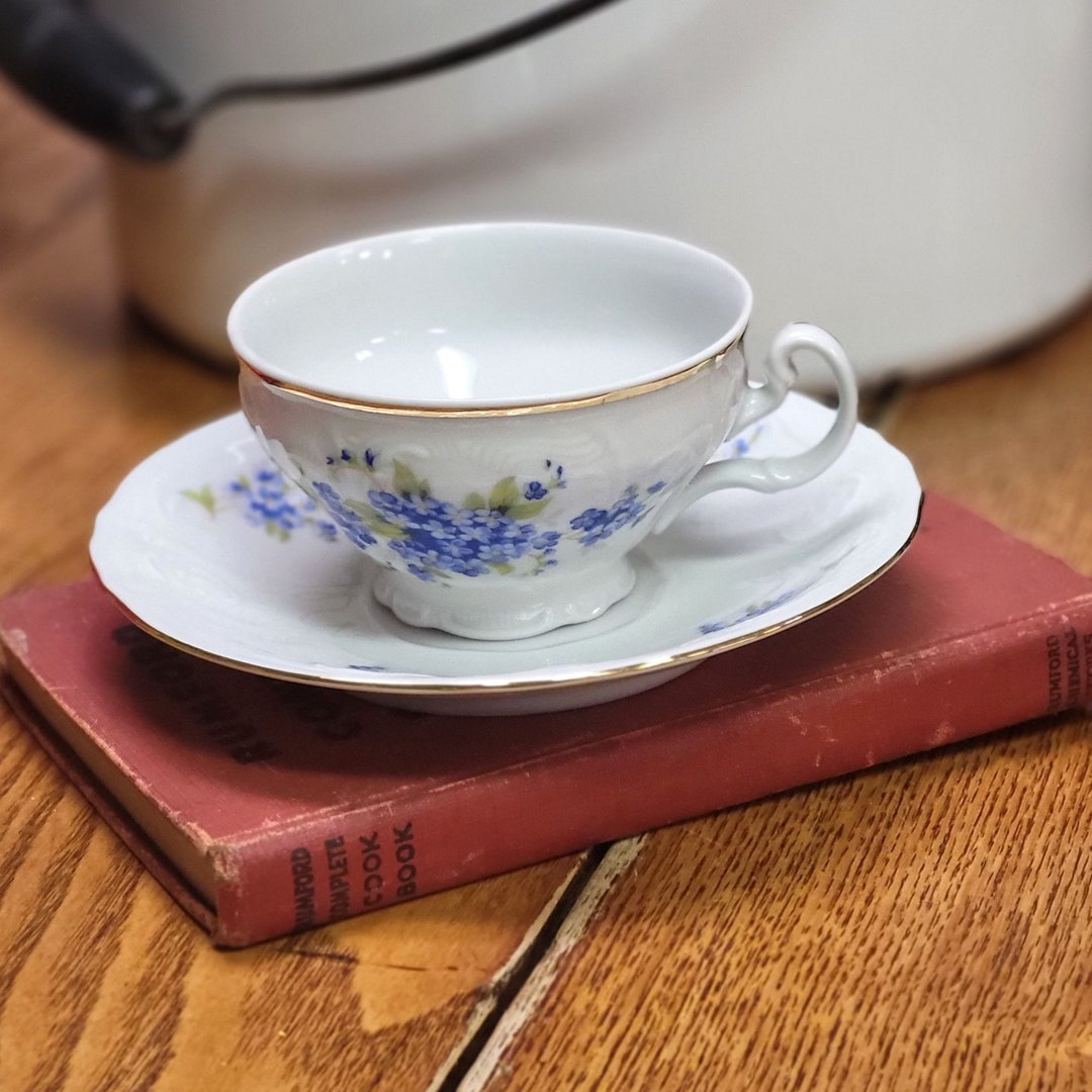 Vintage Bernadotte Czech Republic Porcelain Teacup & Saucer Forget Me ...