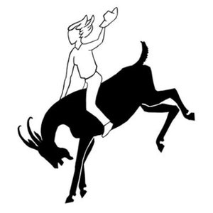 2017 SOB Show Shirt (White)