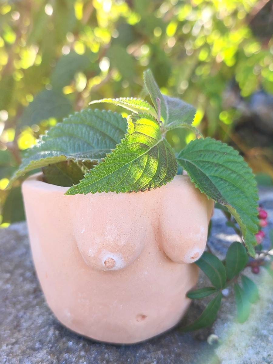 Vase en Céramique avec Seins Faits à La Main, Vases Pour Plantes, Décoration Intérieure