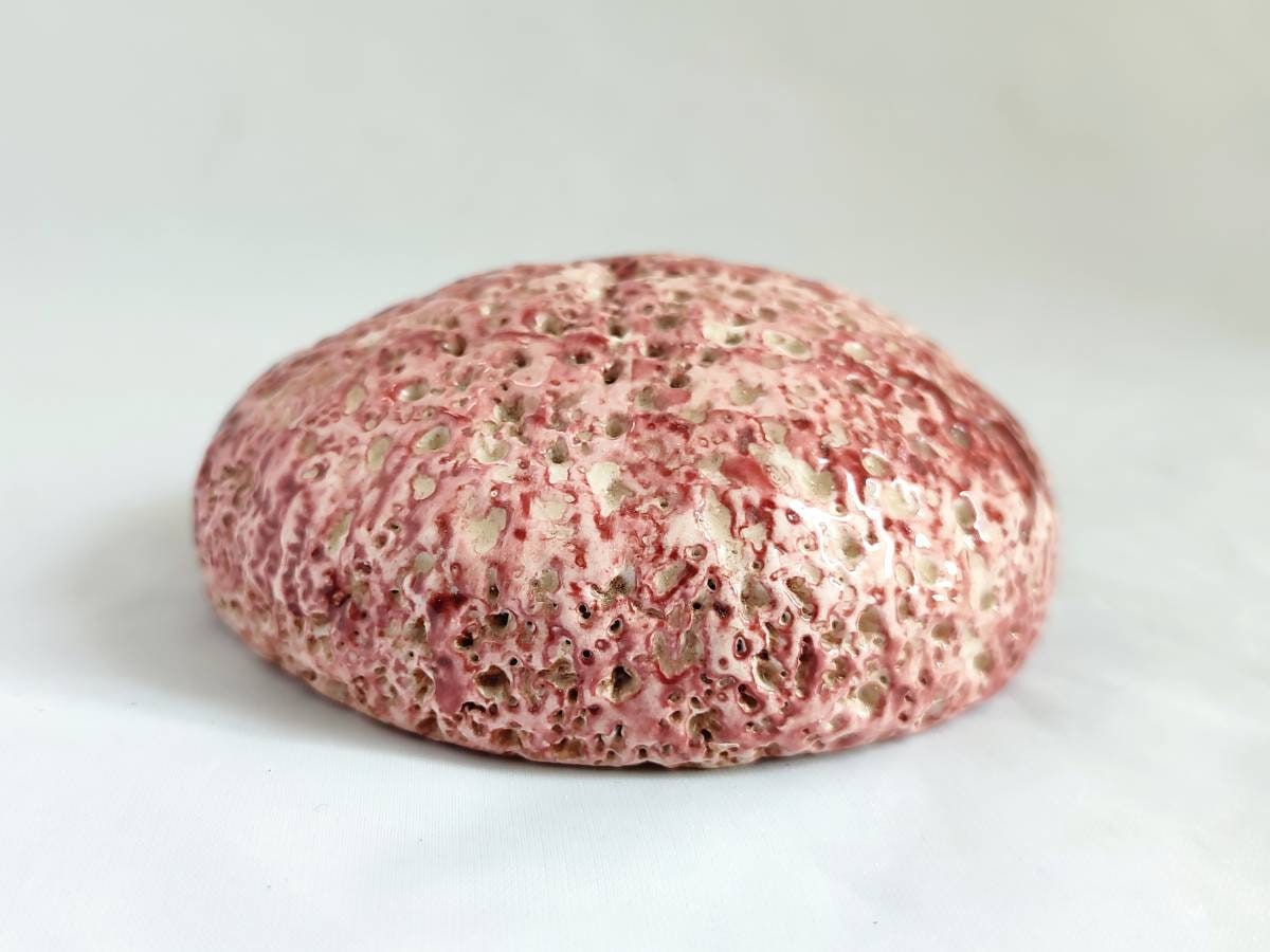 Ceramic Sea Ursin For Home Decor By Handmade in Giens, Oursin de Gift, Blue Azur, Christmas Ornament