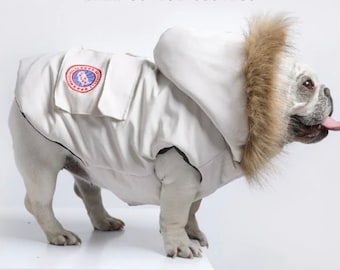 Canada goose style designer dog jacket