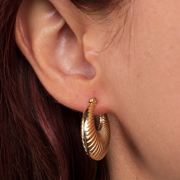 Shrimp Earrings Etsy