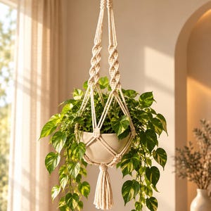 May include: A cream-coloured macrame plant hanger featuring intricate knotted patterns and a central tassel, suspending a smooth, light-coloured ceramic pot. A vibrant green and yellow variegated pothos plant spills over the edges of the pot.