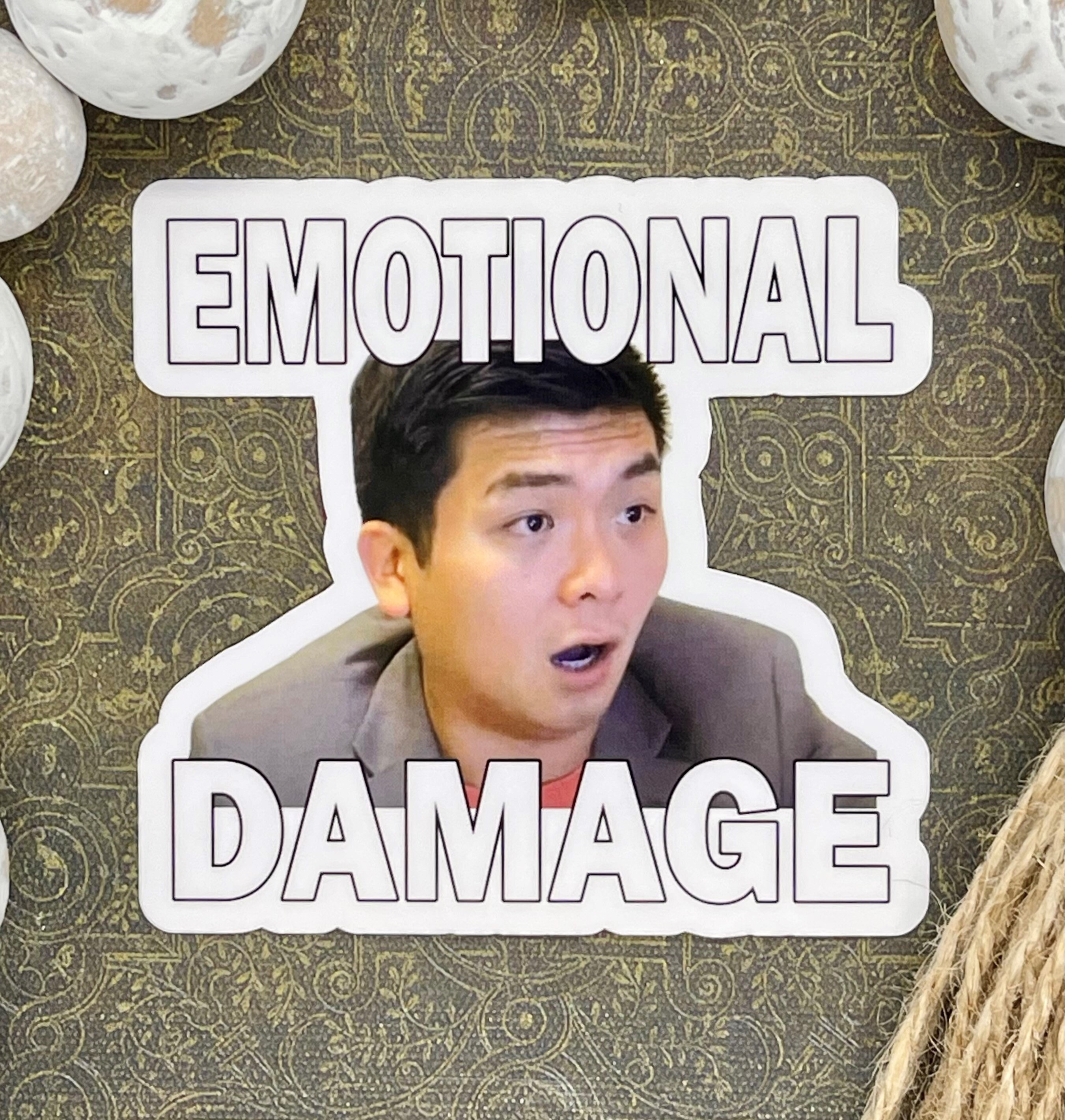 Emotional Damage Sticker Funny Stickers Sarcasm Stickers Etsy