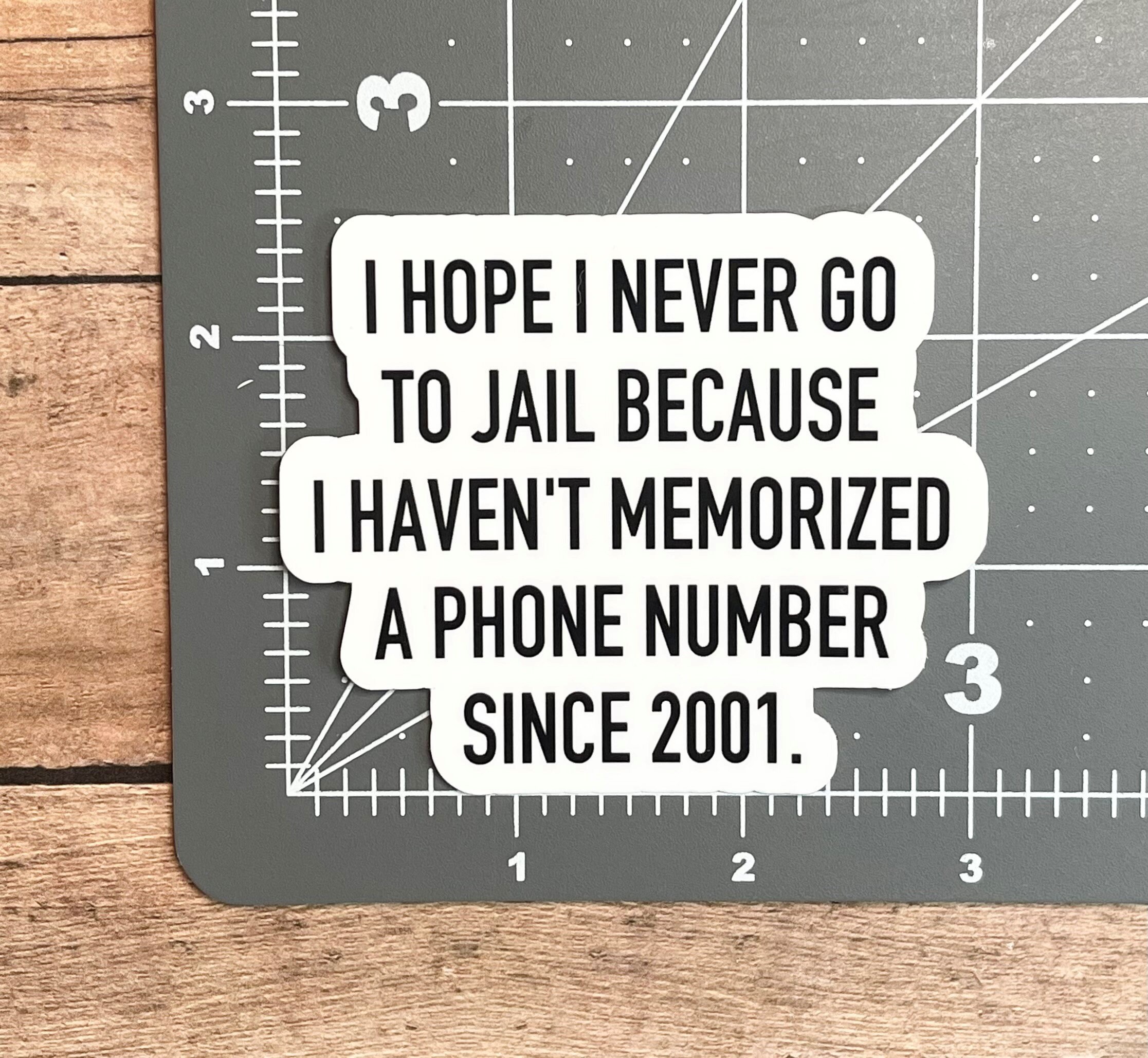 Jail Sticker Funny Stickers Sarcasm Stickers Sarcastic Etsy