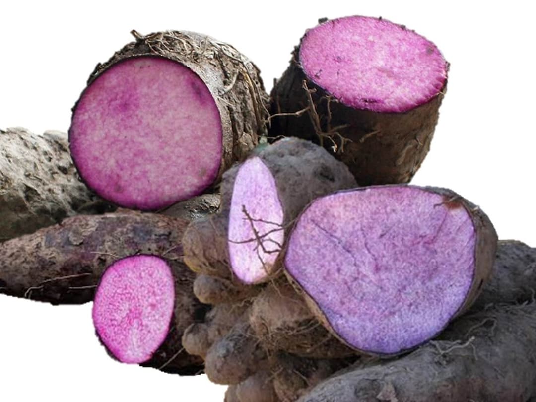 Poudre Ube Latte Igname Violette Biologique/Dioscorea Alata/Ube Ou Igname  Bionutricia Extract