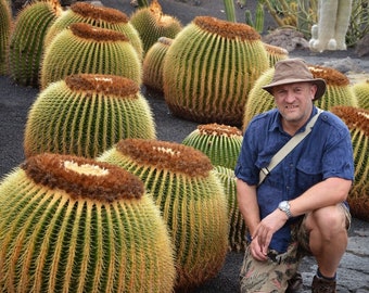 Echinocactus grusonii - Golden Barrel Cactus - 30 Seeds