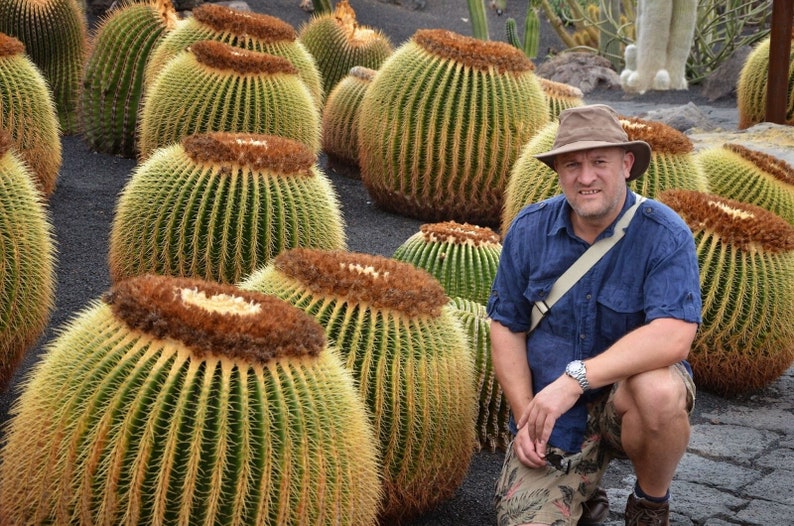 Echinocactus grusonii Golden Barrel Cactus 30 Seeds image 1