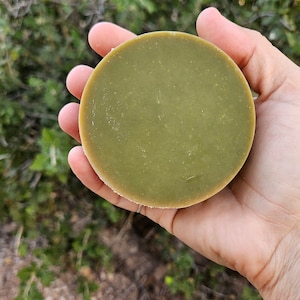 rosemary mint shampoo bars