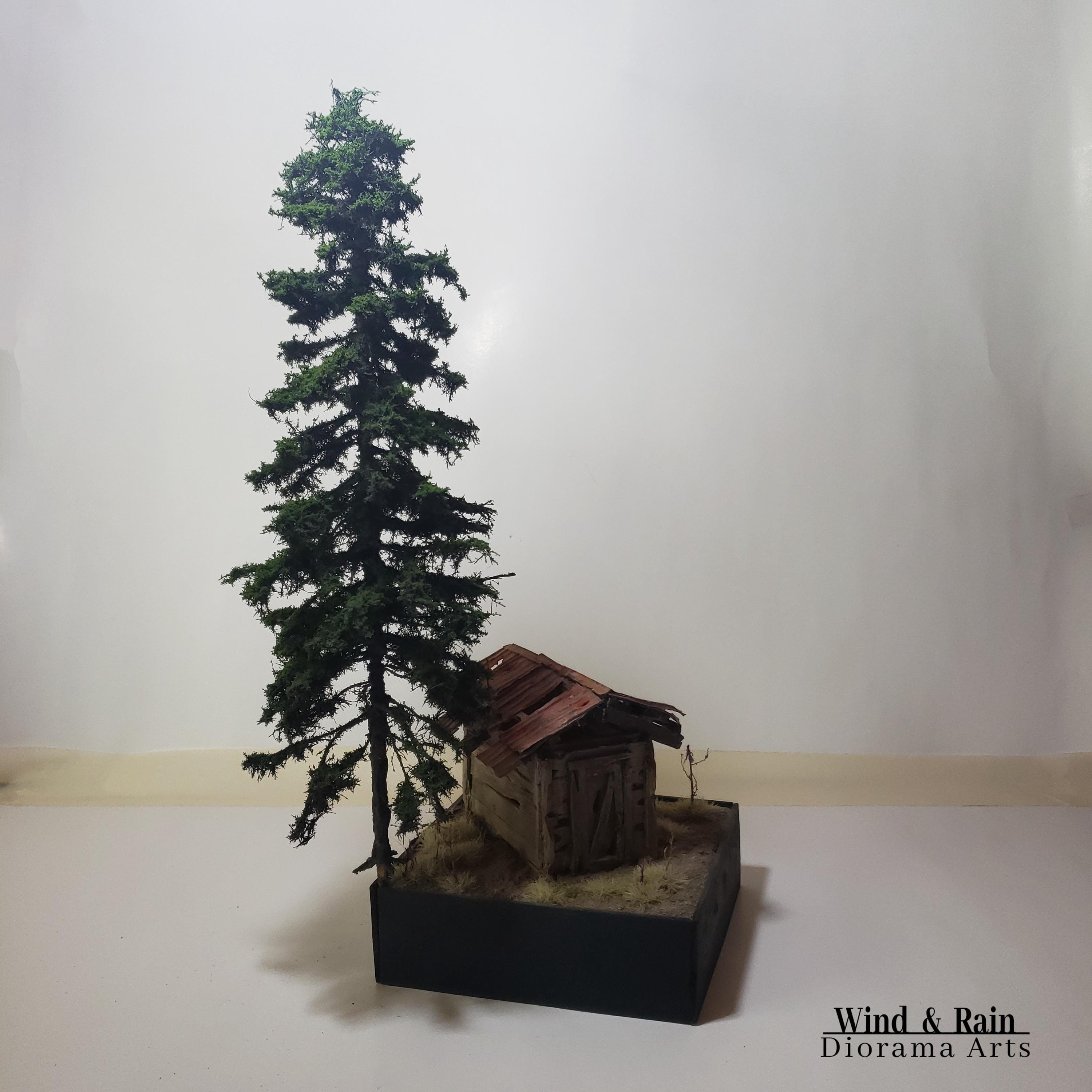 Diorama Tree, One Model Tree, Model Railroad Tree, Evergreen, High ...