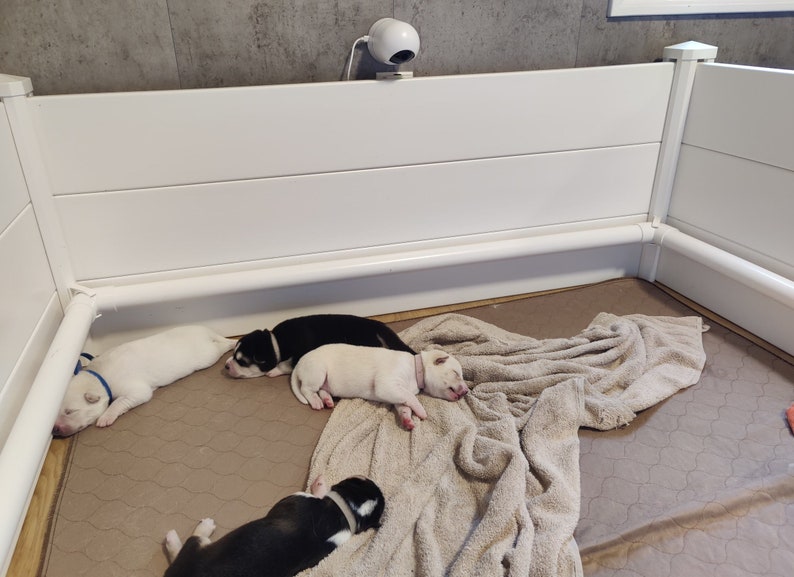 Whelping Box for Dogs Dog Whelping Box Dog Birthing Box Puppy Whelping