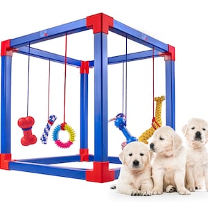 Puppy Play Gym -   Puppy play, Foster puppies, Puppies