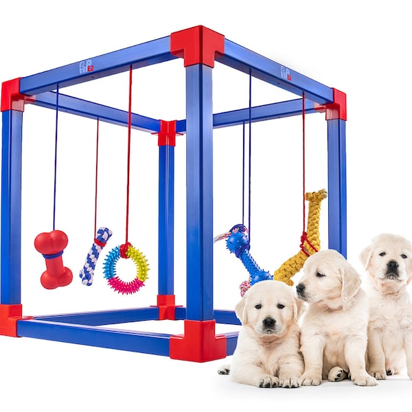 Puppy Play Gym Etsy