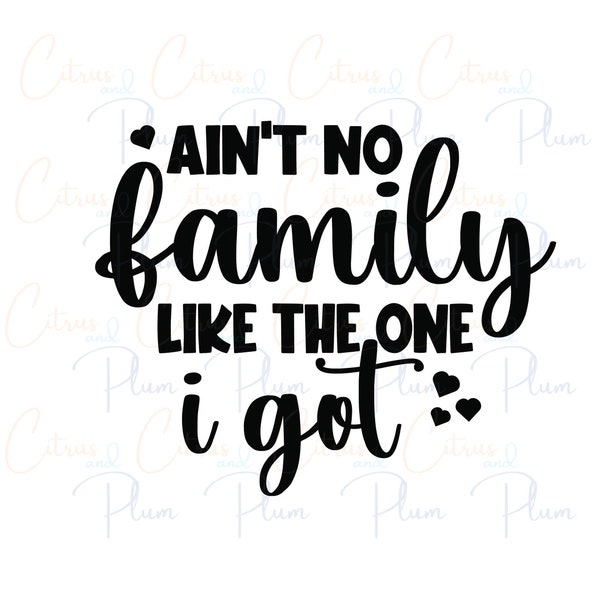 Aint No Family Like the One I Got Svg (Just for you!) - Etsy