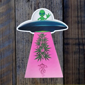 May include: A green alien in a flying saucer shines a pink light on a marijuana plant with roots.