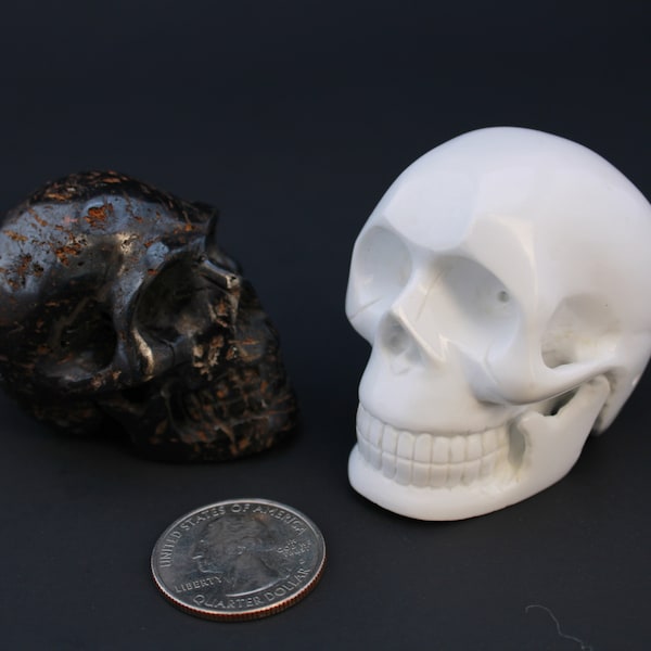 Skull**Miniature Stone Skull- White skull is available only