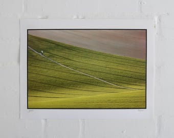 Mint Sauce x Finn Hopson Collab Print