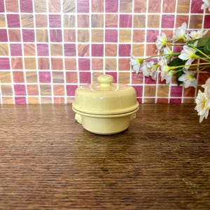 French Le Cachet Butter Cloche Dish | Vintage France Tableware