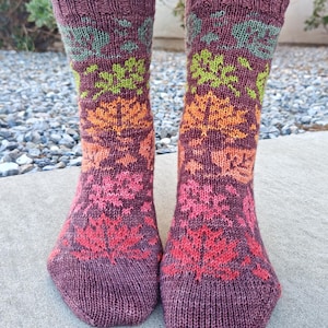 Peut inclure: Une paire de chaussettes tricotées dans les tons bordeaux, orange, rose et vert. Les chaussettes présentent un motif floral répétitif. Les chaussettes sont portées aux pieds d'une personne.