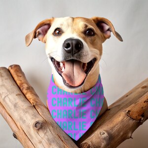 Personalized Dog Bandana, Custom Neon Pet Bandana, Over the Collar, Summer Dog Bandana